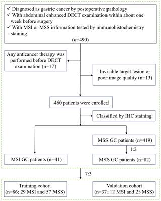 Nomogram based on dual-energy CT-derived extracellular volume fraction for the prediction of microsatellite instability status in gastric cancer